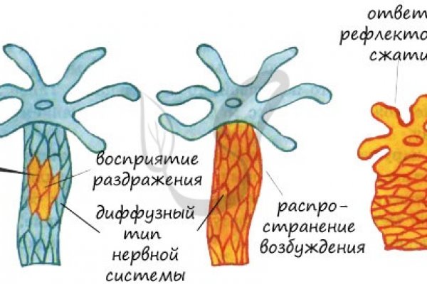 Даркнет официальный сайт вход