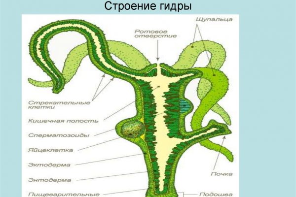Сайт кракен что это такое