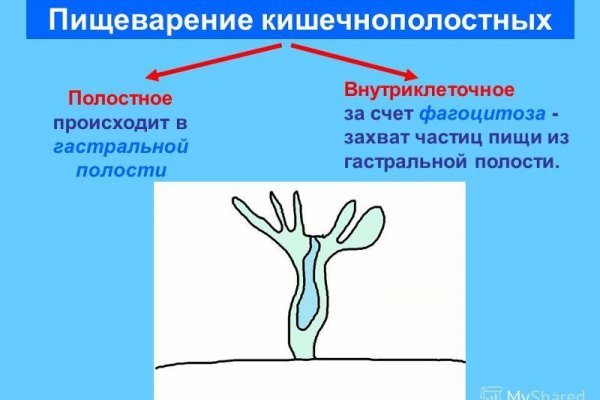 Кракен даркнет маркет ссылка на сайт тор